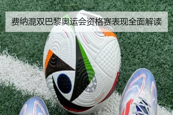 费纳混双巴黎奥运会资格赛表现全面解读